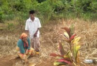 Duka mendalam masih dirasakan keluarga Almarhum Cepi, korban kecelakaan maut di Jalan Siliwangi, Palabuhanratu. Hingga kini, pihak perusahaan yang terlibat belum menepati janji untuk memberikan kompensasi.