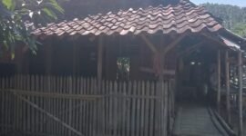 Oplus_16908288