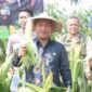 Wakil Bupati Sukabumi H. Andreas menghadiri Panen Raya Jagung Serentak Kuartal II Tahun 2025 di Desa Selawangi, sebagai bentuk dukungan terhadap ketahanan pangan nasional.