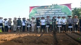 Pemkab Sukabumi bersama Polres Sukabumi tanam jagung serentak di kawasan Perhutanan Sosial Desa Kertajaya,