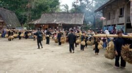 Ritual adat Seren Taun ke-446 kembali digelar khidmat di Kampung Adat Kasepuhan Sinar Resmi.