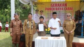 Dinas Pertanian Kabupaten Sukabumi dukung panen raya cabai di Desa Cipeuteuy