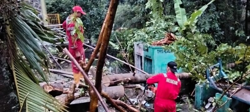 Damkar Sukabumi melalui Pos Palabuhanratu sigap evakuasi pohon tumbang di Mako Satpol PP akibat cuaca ekstrem, tanpa korban jiwa.