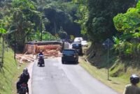 Truk bermuatan kayu palet terguling di Jalur Buniwangi-Cikidang