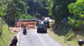 Truk bermuatan kayu palet terguling di Jalur Buniwangi-Cikidang