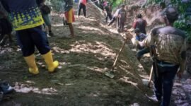 UPTD PU Wilayah IV Palabuhanratu bergerak cepat menangani kerusakan irigasi dan jembatan