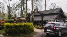 Libur Natal dan Tahun Baru 2025/2026 membawa angin segar bagi kawasan wisata Ranca Upas, Ciwidey.