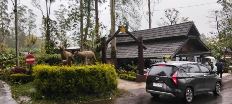 Libur Natal dan Tahun Baru 2025/2026 membawa angin segar bagi kawasan wisata Ranca Upas, Ciwidey.