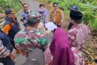 Pemerintah Kabupaten Sukabumi melalui Dinas Perumahan dan Kawasan Permukiman.