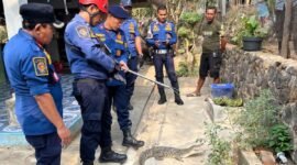 Dinas Pemadam Kebakaran dan Penyelamatan Kabupaten Sukabumi