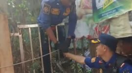 Petugas Dinas Pemadam Kebakaran dan Penyelamatan Kabupaten Sukabumi