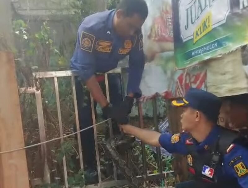 Petugas Dinas Pemadam Kebakaran dan Penyelamatan Kabupaten Sukabumi