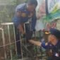 Petugas Dinas Pemadam Kebakaran dan Penyelamatan Kabupaten Sukabumi