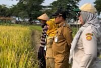 Kepala Dinas Pertanian Kabupaten Sukabumi, H. Aep Majmudin,