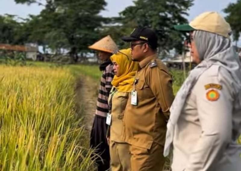 Kepala Dinas Pertanian Kabupaten Sukabumi, H. Aep Majmudin,