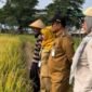 Kepala Dinas Pertanian Kabupaten Sukabumi, H. Aep Majmudin,